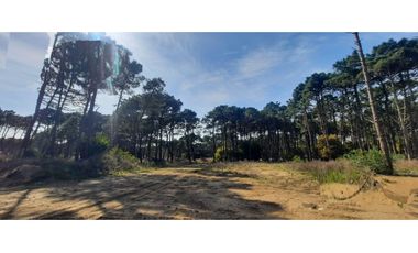 Hermoso lote en venta en Barrio Bosques de Pinamar
