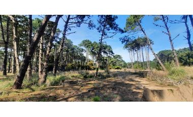Hermoso lote en venta en Barrio Bosques de Pinamar