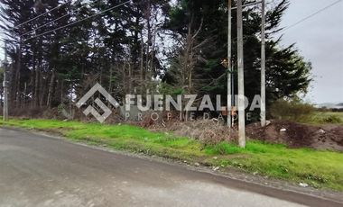 Sitio en Venta en Sector Capataces, Coronel.