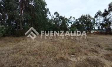 Sitio en Venta en Sector Capataces, Coronel.