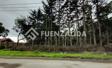 Sitio en Venta en Sector Capataces, Coronel.