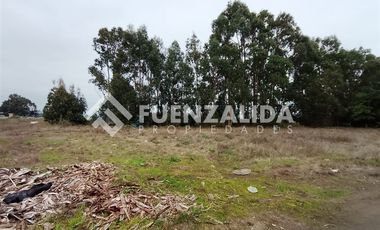 Sitio en Venta en Sector Capataces, Coronel.