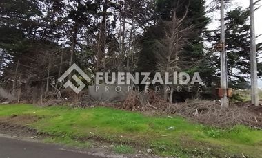 Sitio en Venta en Sector Capataces, Coronel.