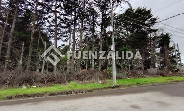 Sitio en Venta en Sector Capataces, Coronel.