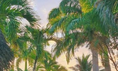 Oportunidad de Inversión Hotelera en Atacames.