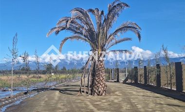 Sitio en Venta en Oliveto Club de Golf