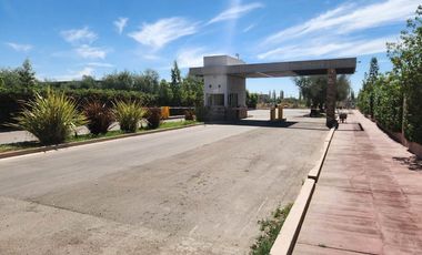 Venta Lote Central B° Privado Las Tacas Coquimbito