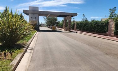 Venta Lote Central B° Privado Las Tacas Coquimbito