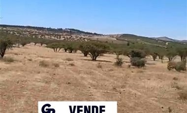 Parcela en Venta en Parcela 24