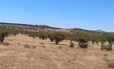 Parcela en Venta en Parcela 24