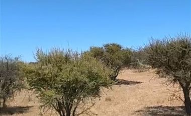 Parcela en Venta en Parcela 24
