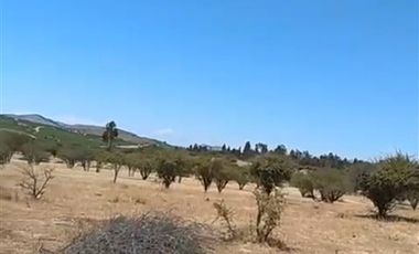 Parcela en Venta en Parcela 24