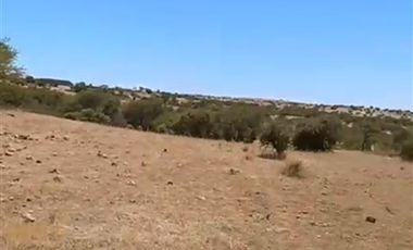 Parcela en Venta en Parcela 24