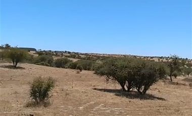 Parcela en Venta en Parcela 24