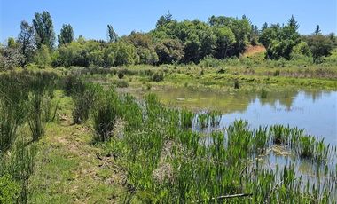Parcela en Venta en Camino a Yumbel sector Tomeco