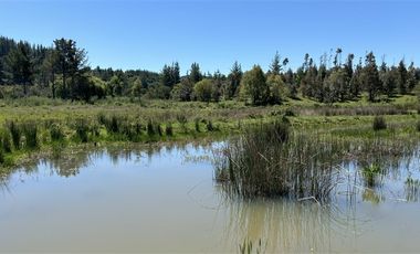 Parcela en Venta en Camino a Yumbel sector Tomeco