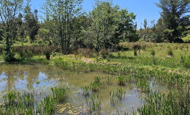 Parcela en Venta en Camino a Yumbel sector Tomeco
