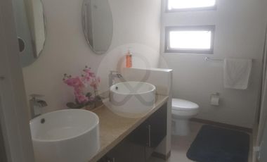 Casa en renta en Fraccionamiento Jardines de Coyoacan