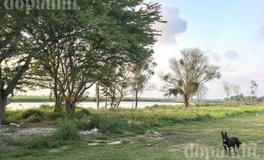 Terreno en Tampico
