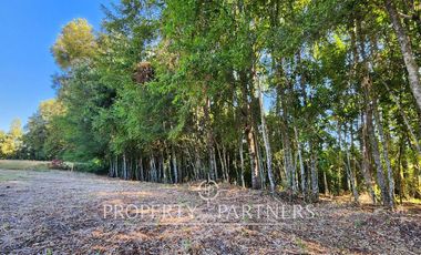 ¡Vive la tranquilidad que mereces!  parcela en el exclusivo Condominio El Remanso.