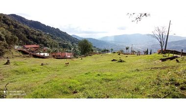 Lote independiente en Palmas con vista a la ciudad