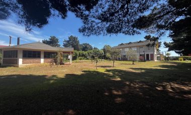 EL QUISCO NORTE / EL LEONCILLO NORTE