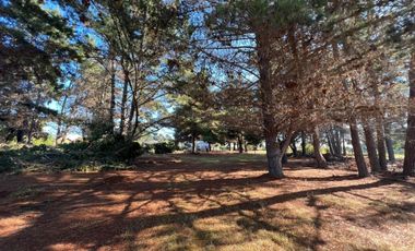 EL QUISCO NORTE / EL LEONCILLO NORTE