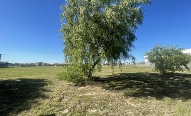 LOTE San Sebastian Area 12