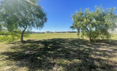 LOTE San Sebastian Area 12
