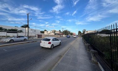 En Renta, 2 Terrenos sobre Av. Pérez Ponce a corta distancia de Paseo de Montejo