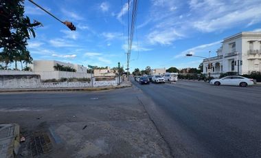 En Renta, 2 Terrenos sobre Av. Pérez Ponce a corta distancia de Paseo de Montejo