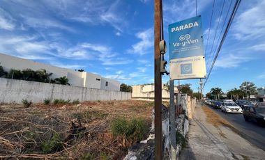 En Renta, 2 Terrenos sobre Av. Pérez Ponce a corta distancia de Paseo de Montejo