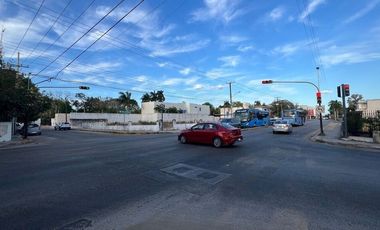 En Renta, 2 Terrenos sobre Av. Pérez Ponce a corta distancia de Paseo de Montejo