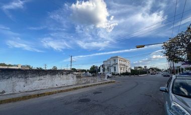 En Renta, 2 Terrenos sobre Av. Pérez Ponce a corta distancia de Paseo de Montejo