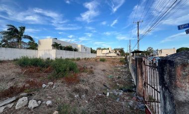 En Renta, 2 Terrenos sobre Av. Pérez Ponce a corta distancia de Paseo de Montejo