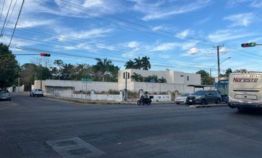 En Renta, 2 Terrenos sobre Av. Pérez Ponce a corta distancia de Paseo de Montejo