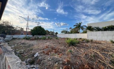 En Renta, 2 Terrenos sobre Av. Pérez Ponce a corta distancia de Paseo de Montejo
