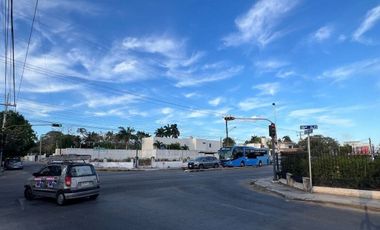 En Renta, 2 Terrenos sobre Av. Pérez Ponce a corta distancia de Paseo de Montejo