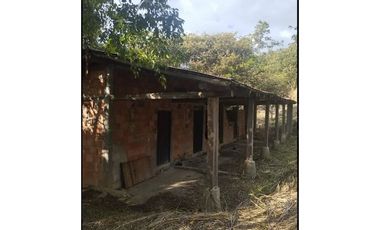 FINCA TURISTICA Y DE PRODUCCIÓN CAFETERA PREMIUM EN BOYAC 2.5 HA