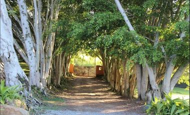 FINCA TURISTICA Y DE PRODUCCIÓN CAFETERA PREMIUM EN BOYAC 2.5 HA