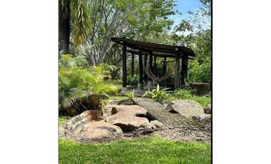 FINCA TURISTICA Y DE PRODUCCIÓN CAFETERA PREMIUM EN BOYAC 2.5 HA