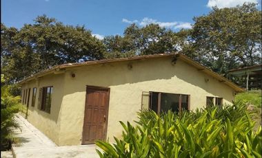 FINCA TURISTICA Y DE PRODUCCIÓN CAFETERA PREMIUM EN BOYAC 2.5 HA