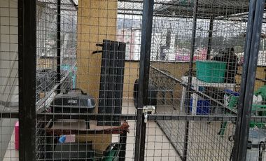 VENTA DEPTO GLORIETA DE VAQUERITOS