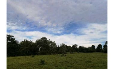 Terreno plano Cerro Cama chorrera (KF)