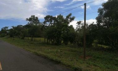 Terreno plano Cerro Cama chorrera (KF)