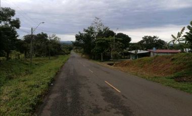 Terreno plano Cerro Cama chorrera (KF)