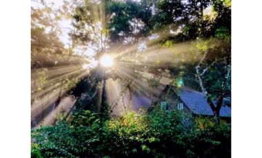 VENTA DE HOTEL EN EL VALLE DE ANTÓN CON HERMOSAS CABAÑAS 5000m2 JP