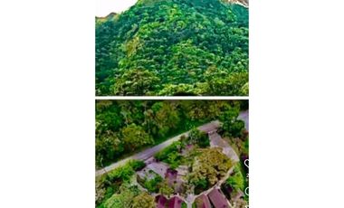 VENTA DE HOTEL EN EL VALLE DE ANTÓN CON HERMOSAS CABAÑAS 5000m2 JP