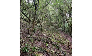 VENTA DE TERRENO EN EL VALLE DE ANTÓN 5000M2 JP