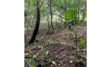 VENTA DE TERRENO EN EL VALLE DE ANTÓN 5000M2 JP